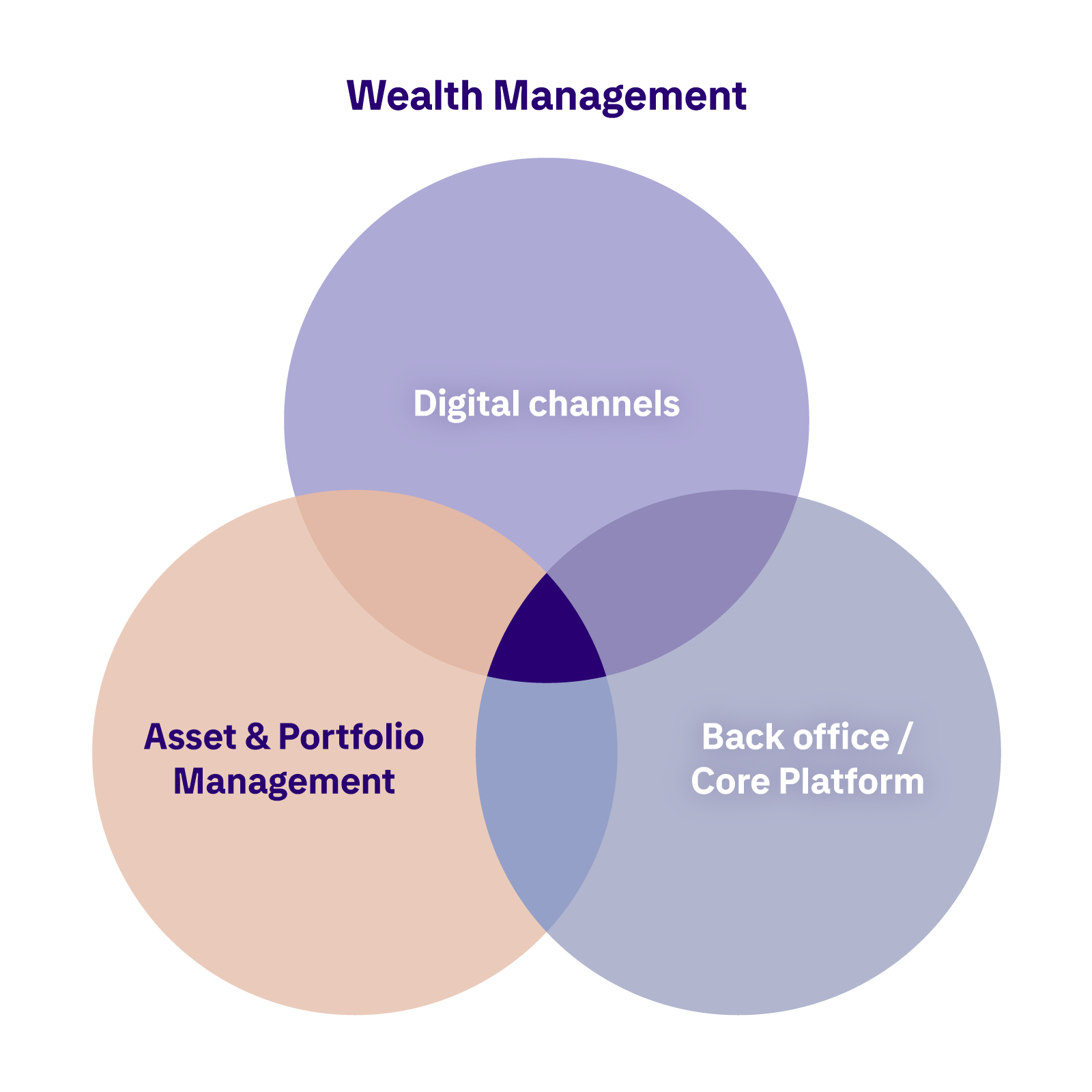 Wealth-Management in a box